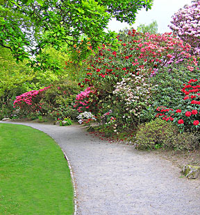 pathway to garden