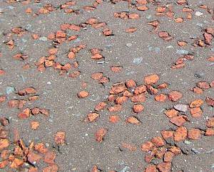 Black Asphalt Path with Red Stones inlay
