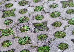 Path of Concrete Blocks