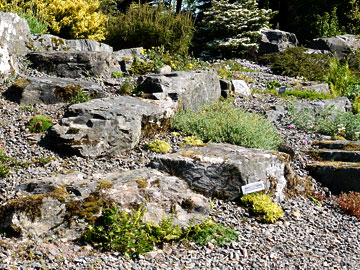 Rock Garden