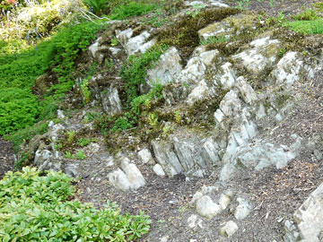Rock Garden